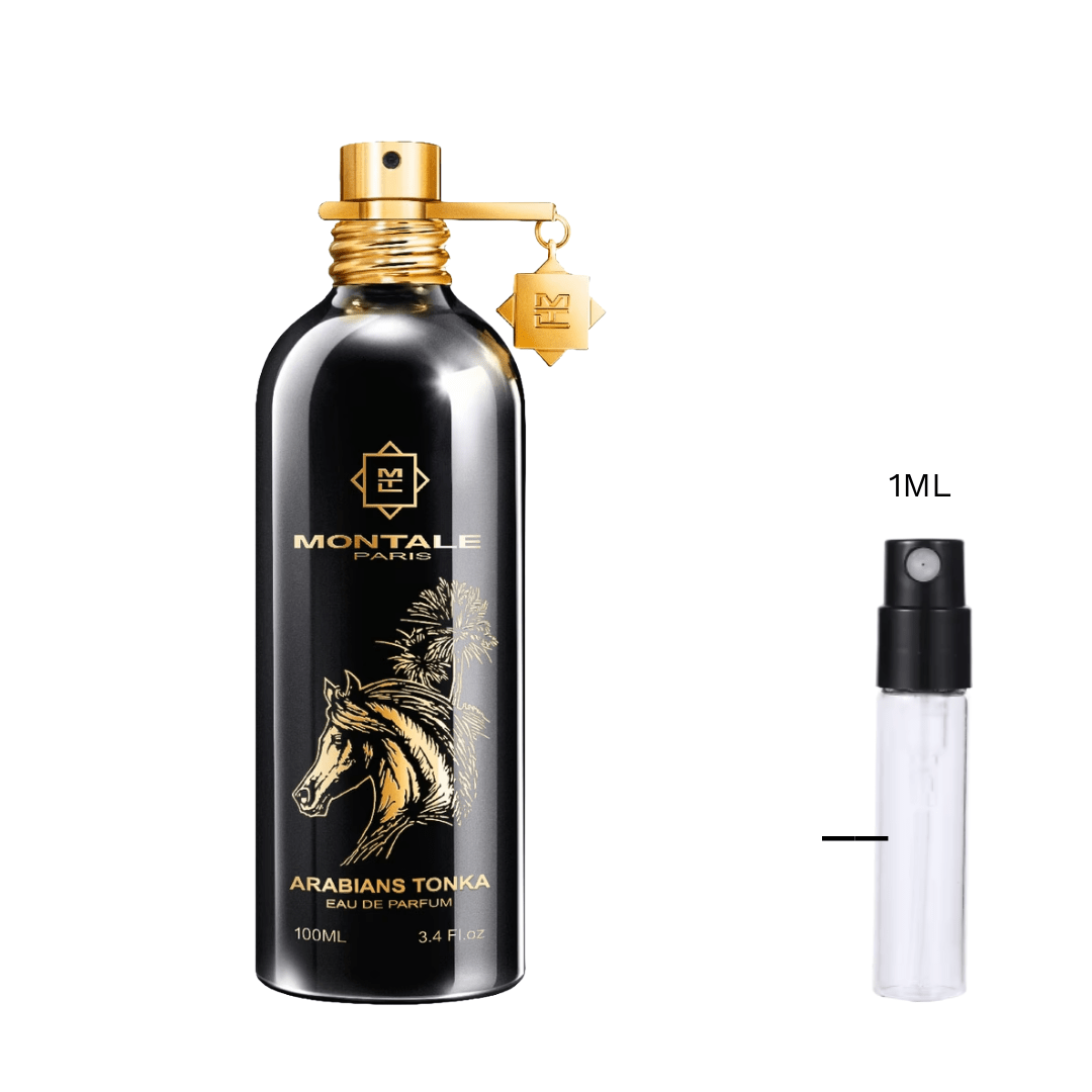 SAMPLE - Montale Arabians Tonka - Olorium