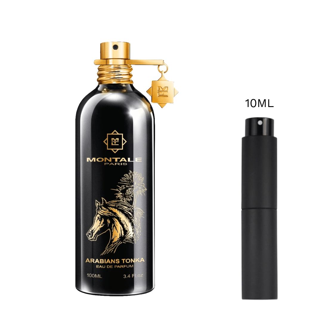 SAMPLE - Montale Arabians Tonka - Olorium