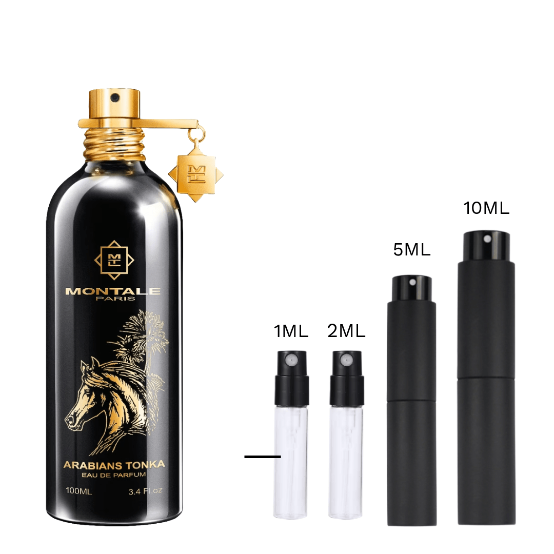 SAMPLE - Montale Arabians Tonka - Olorium