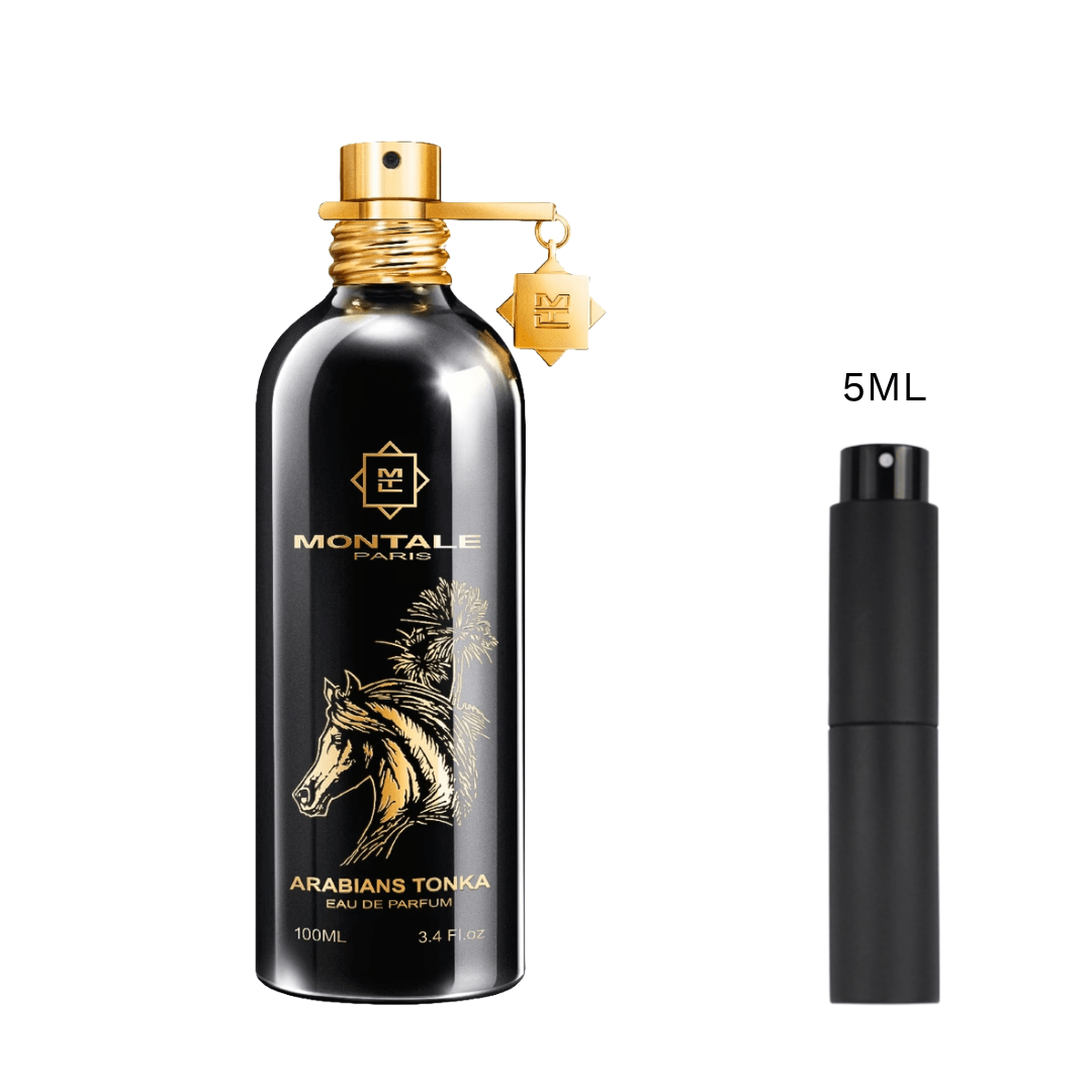 SAMPLE - Montale Arabians Tonka - Olorium